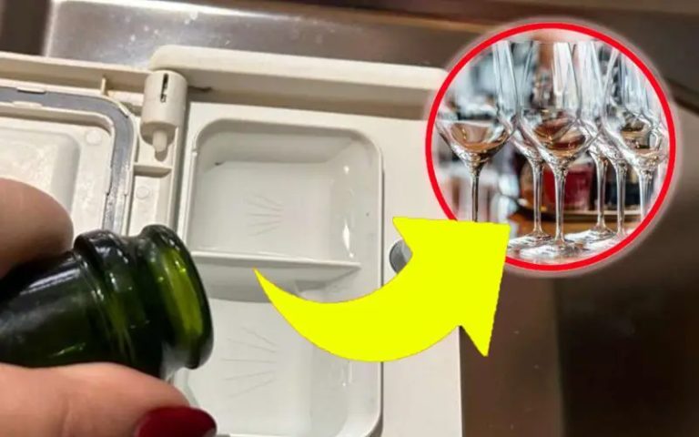 Platos y vasos aburridos en el lavavajillas, ese es el truco. ¡Quedarán como nuevos!