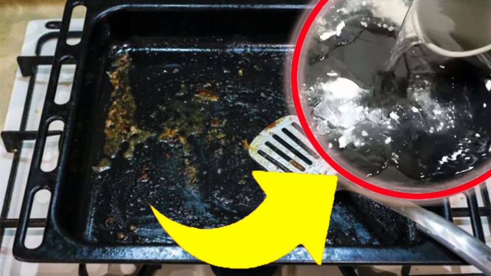 Bandeja de horno muy sucia, límpiala de nuevo con unos sencillos pasos: ¡así es como funciona! Vuelven como nuevos