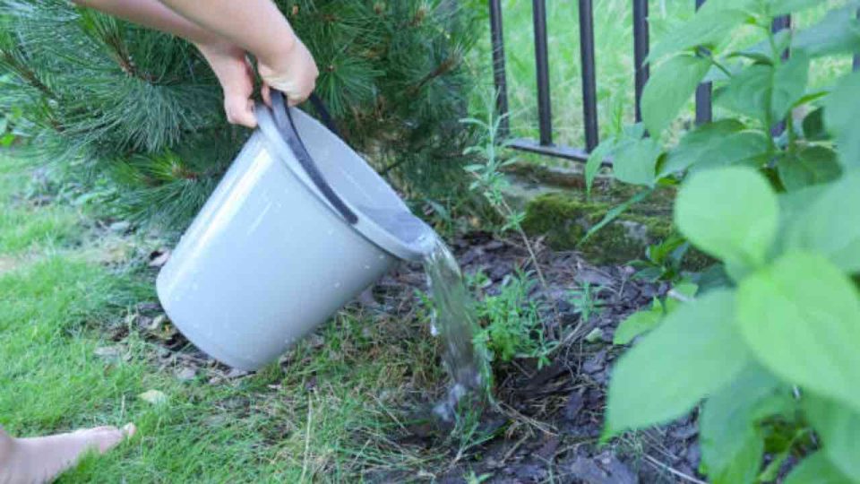 ¿Qué pasa si se derrama agua en el jardín de tu vecino? Presta atención a las regulaciones.