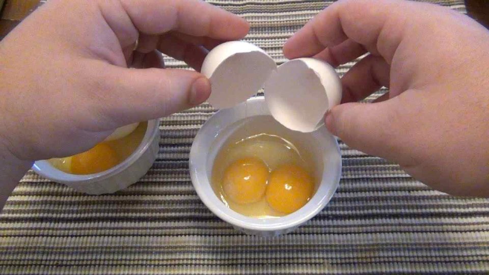 ¿Qué significa que dentro de un solo huevo haya doble yema? el significado