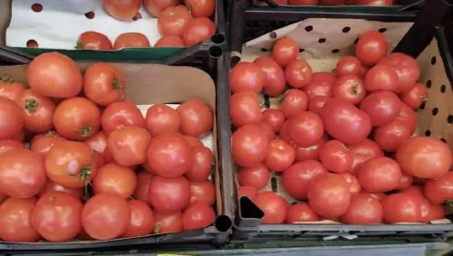 Compré tomates en el mercado, los corté en rodajas y los planté. Te mostraré lo que les pasó.