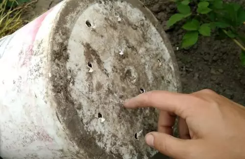 No tengo huerto, pero todo el mundo está celoso de mi cosecha de pepinos: el secreto de una rica cosecha está en el balcón.