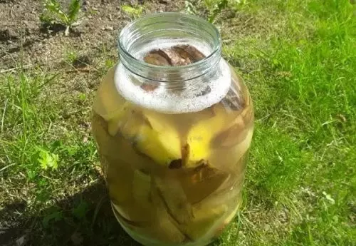 Dale este “postre” a las hormigas y desaparecerán de la zona junto con los pulgones