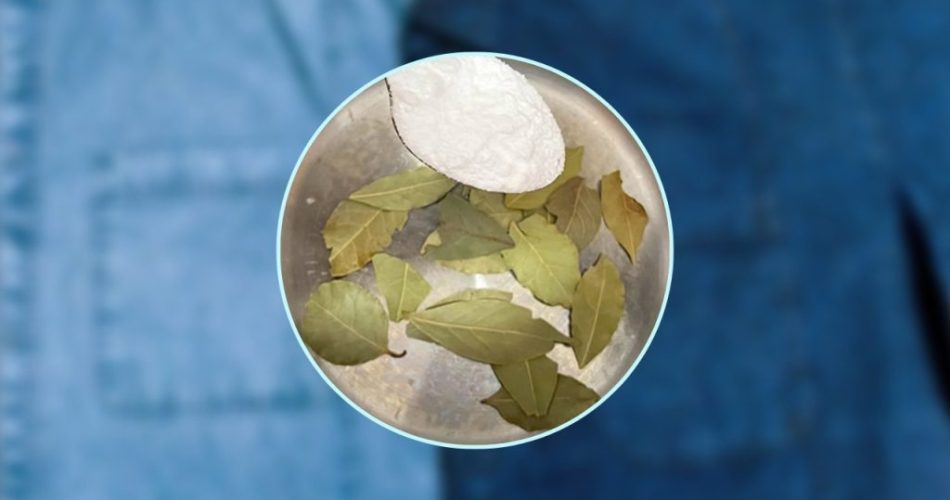 Ropa desteñida o descolorida, el truco del laurel para que luzcan como antes