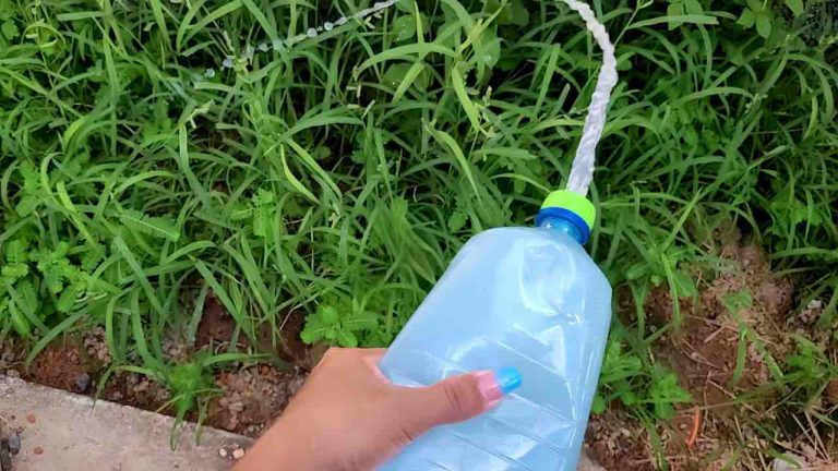 Con 50 Cents, puede eliminar todas las malas hierbas del huerto y el jardín: aquí le mostramos cómo deshacerse de ellas