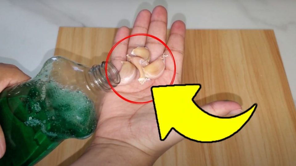 Pon a hervir jabón para platos y un diente de ajo: ¡10 minutos después esto es lo que sucede en casa!