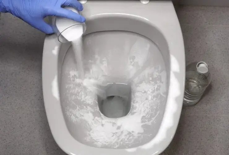 Incrustaciones en el inodoro: ¡ya tienes el descalcificador más potente en casa y es natural!