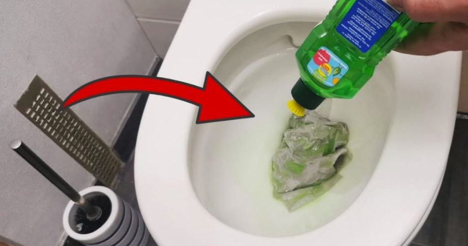 Jabón para platos en el WC, la solución a muchos problemas: ¿qué pasa si lo intentas?