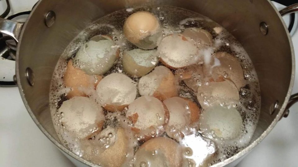 Cocinar bandejas de huevos en una olla: ahorrará mucho dinero