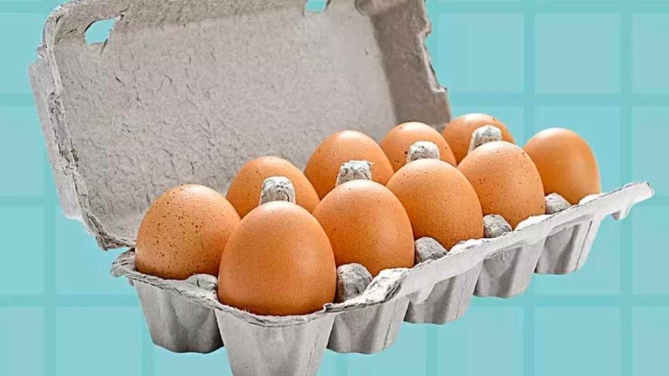 Nunca metas estos 7 alimentos en el frigorífico, si lo haces estás cometiendo un gran error
