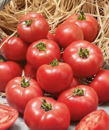 5 pequeños secretos para cultivar tomates deliciosos