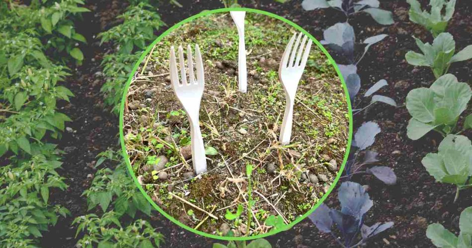 Tenedores de plástico en el huerto, todos los jardineros están empezando a hacerlo: la razón es ingeniosa