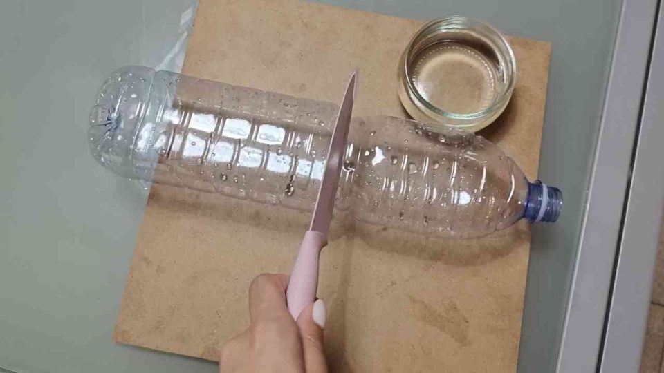 Pero qué trampa para mosquitos, la trampa natural contra moscas, mosquitos y otros insectos.