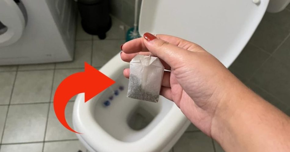 Bolsita de té en el inodoro, ¿por qué debería tirarla allí antes de acostarse?