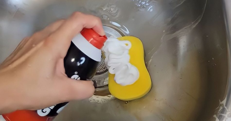 Espuma de afeitar sobre la esponja para platos: soluciona muchos problemas en la cocina