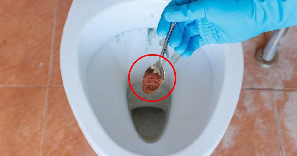 Posos de café en el baño, resultados instantáneos si lo intentas: que pasa