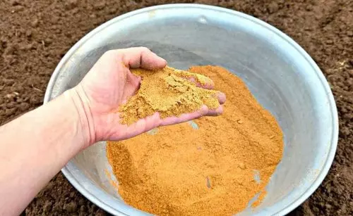 Utilizo este polvo para plantar patatas y verduras: los frutos son grandes y están libres de plagas y enfermedades.