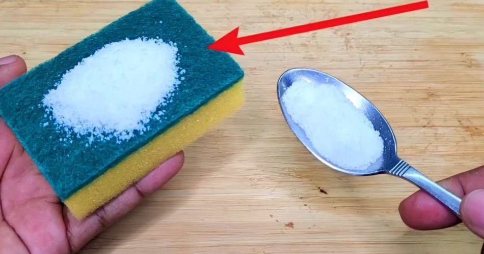 Esponja para lavar platos, añadir sal antes de usar: el secreto de las amas de casa