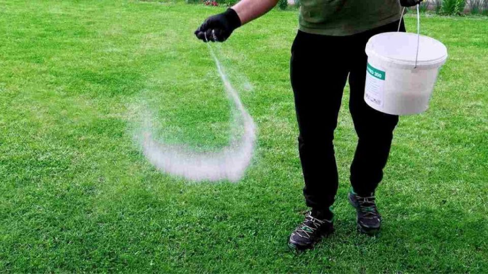 Elimine las malas hierbas de su césped en segundos: nunca ha sido tan fácil