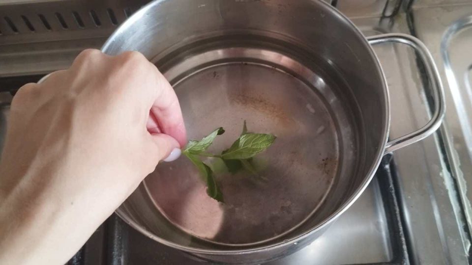 Hervir 3 hojas de menta en una olla: 10 minutos después esto sucede en casa