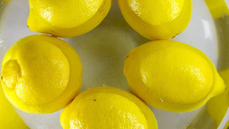 ¡Descubre el método para conservar los limones durante mucho tiempo y sin que se enmohezcan!