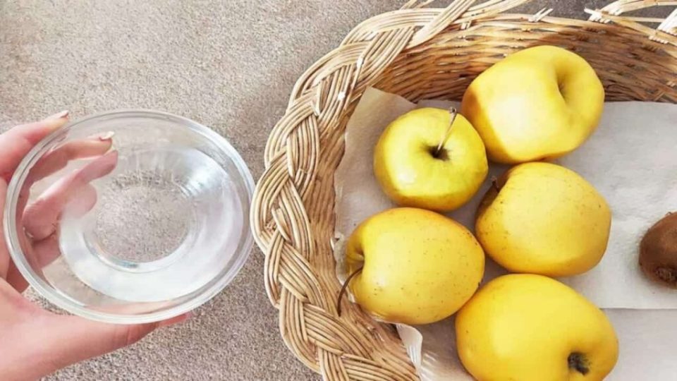 Adiós moscas de la fruta, con este remedio natural las ahuyentarás en un instante