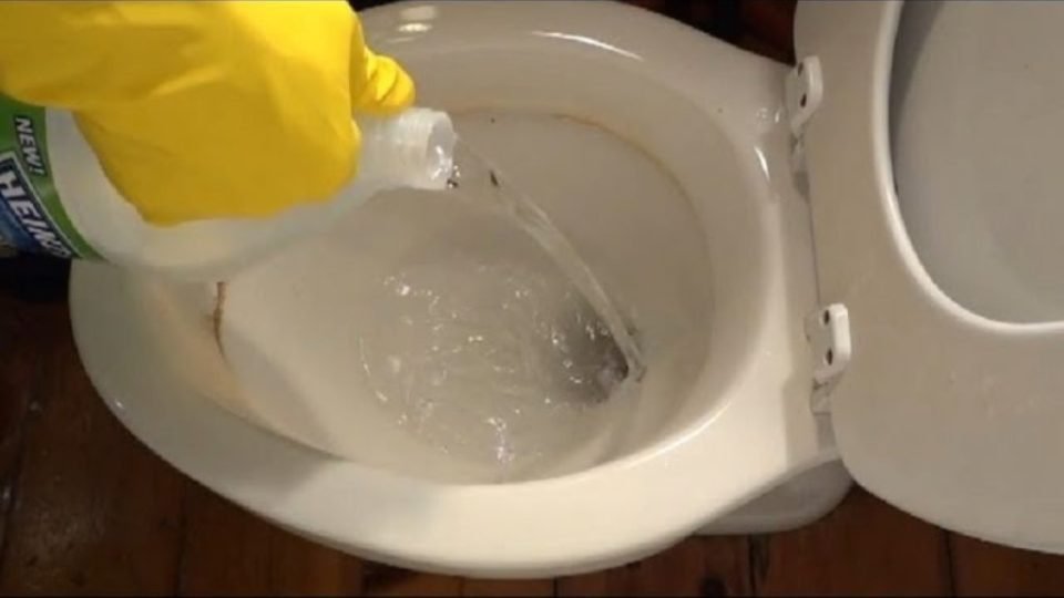 Inodoro brillante, con este remedio desaparecerán hasta las manchas más difíciles