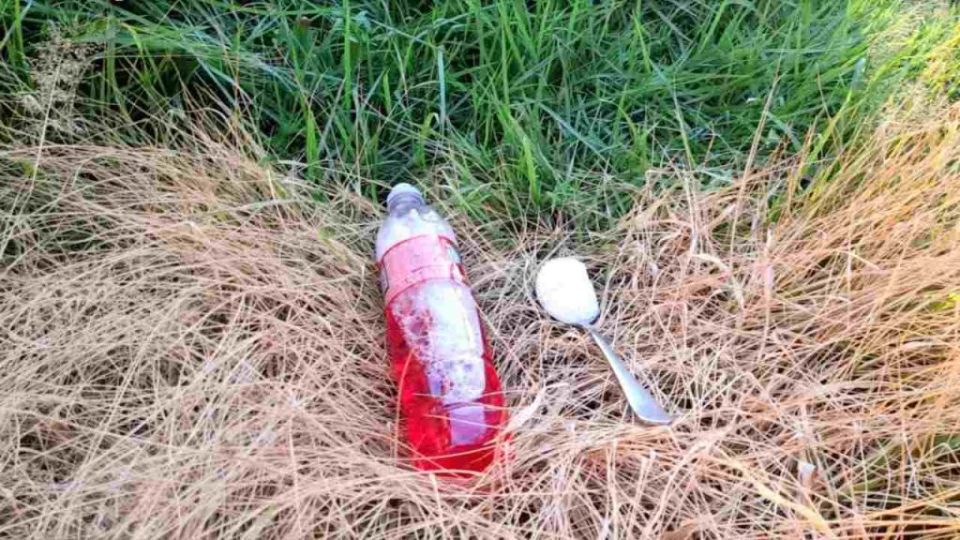 Jardín sin cultivar, solo con este ingrediente puedes eliminar todas las malas hierbas y arbustos