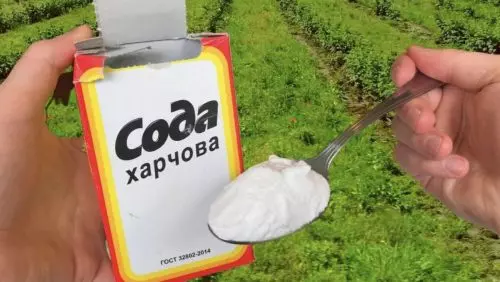 El bicarbonato de sodio es simplemente una ayuda indispensable en el jardín. como lo uso