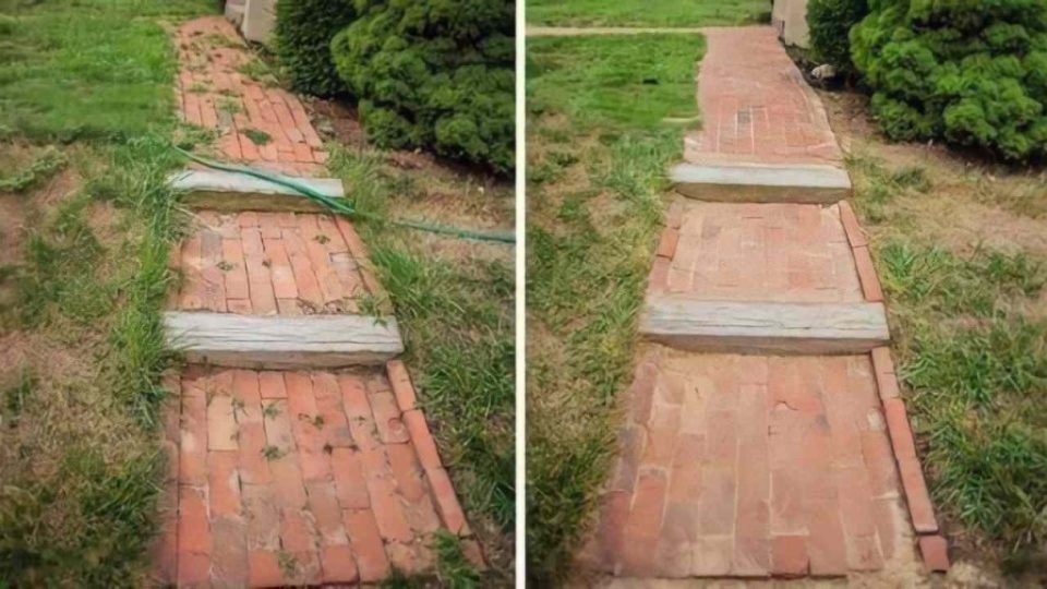 Eficaz y fácil de preparar: este herbicida hace desaparecer cualquier hierba