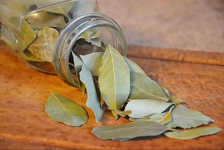 Pon la hoja de laurel en la nevera, ¡mi abuela siempre la hacía! A continuación, te explicamos por qué y cómo hacerlo