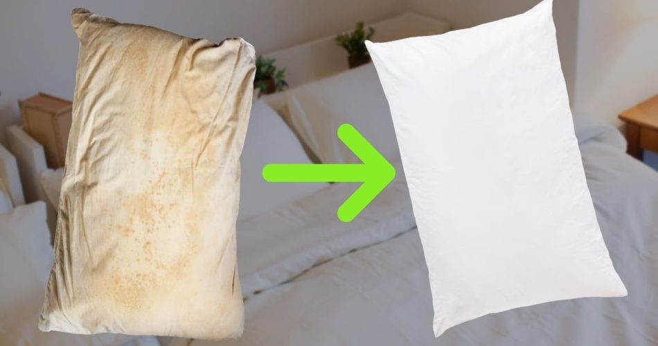 Cojines blancos y muy limpios, sin necesidad de lavadora: el método de la abuela para lavarlos en seco