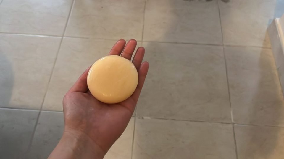 No sólo todo el piso olerá, sino que los insectos nunca volverán