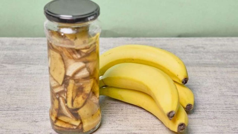 Con este remedio natural los insectos ya no entran en tu casa: cómo mantenerlos alejados