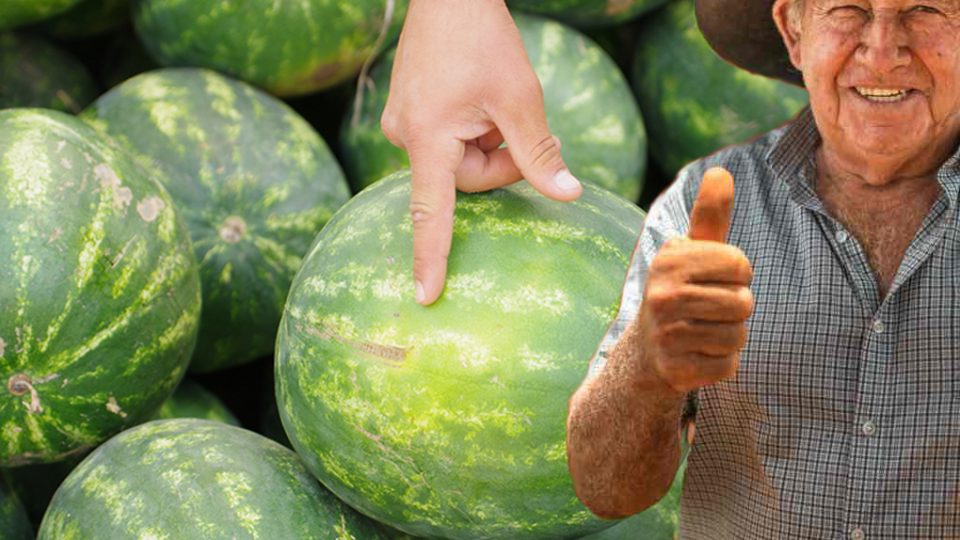 Sandía, nunca comprada tan dulce y jugosa: el truco de los agricultores para elegir la más madura