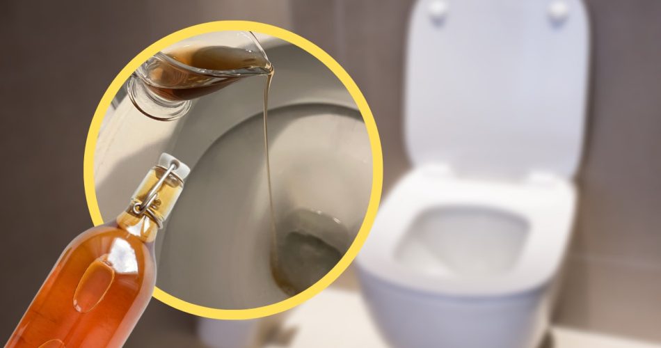 El vinagre en el inodoro soluciona un problema molesto y muy común: pruébalo ahora