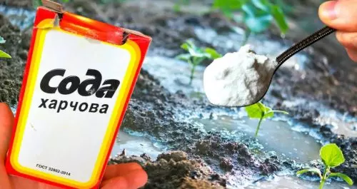 8 formas efectivas de usar limonada en el jardín que pocas personas conocen Comparte en Facebook