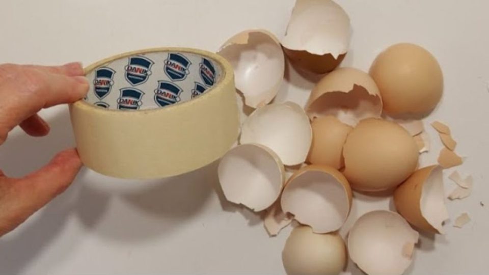Cáscara de huevo y cinta adhesiva: lo que sale de ahí es nada menos que sorprendente