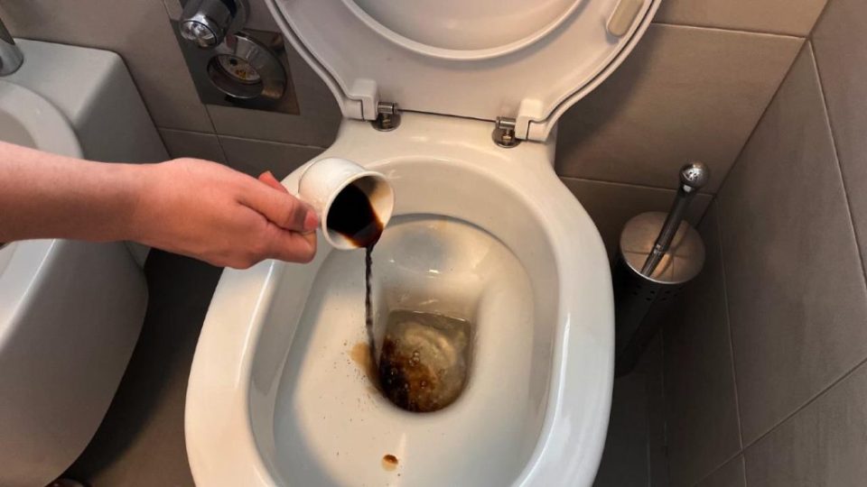 Vierte una taza de café en el inodoro y prepárate para presenciar algo único.