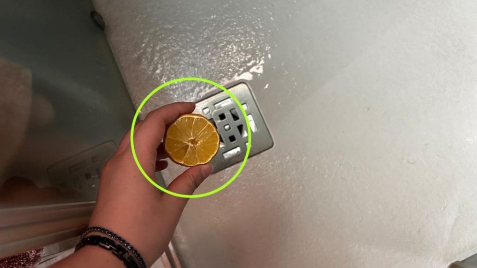Esto es lo que debes echar si quieres un baño muy fragante: será cuestión de segundos