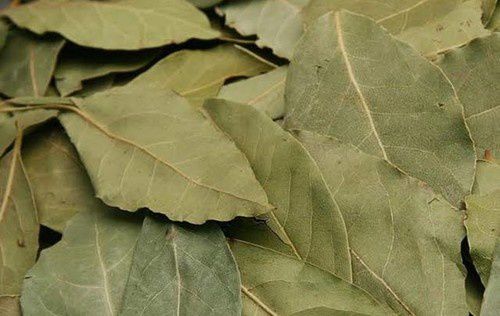 Cuatro efectos sorprendentes de quemar hojas de laurel en casa
