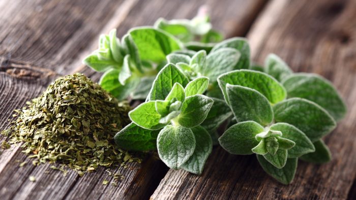 Quemar una hoja de orégano en la cocina: un efecto sorprendente para el hogar