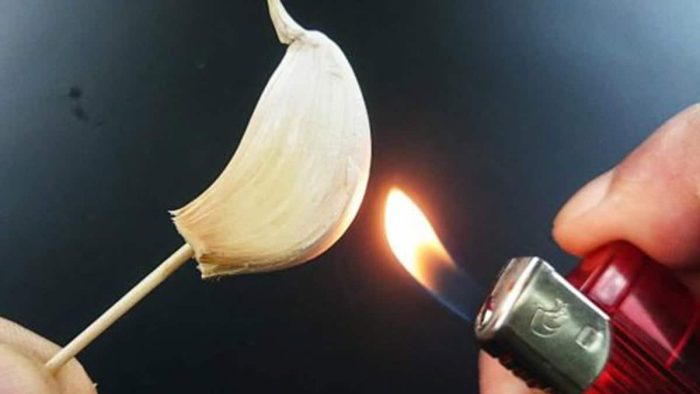 Quema un diente de ajo en casa y descubre sus beneficios