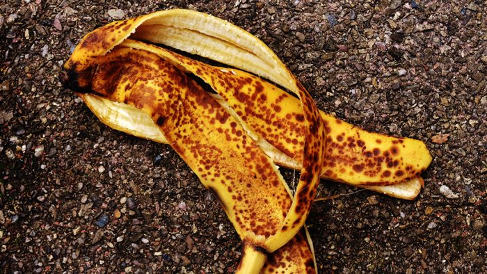 Cómo hacer fertilizante casero con cáscara de plátano para tu jardín
