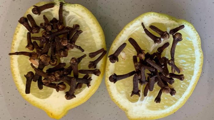 Mezclar clavo de olor con limón: el secreto que nadie te contará jamás