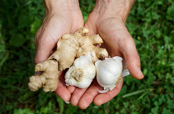 Miel, jugo de limón, cebolla, ajo y jengibre rallado: use una cucharadita cada día y prepárese para sorprenderse.