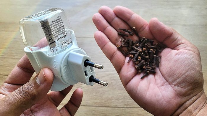 Un truco económico para mantener alejados a los insectos y perfumar tu hogar