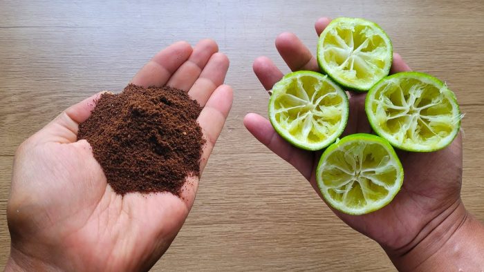 Simplemente mezcla CAFÉ EN POLVO y LIMÓN y ya no necesitarás comprarlo en el mercado.