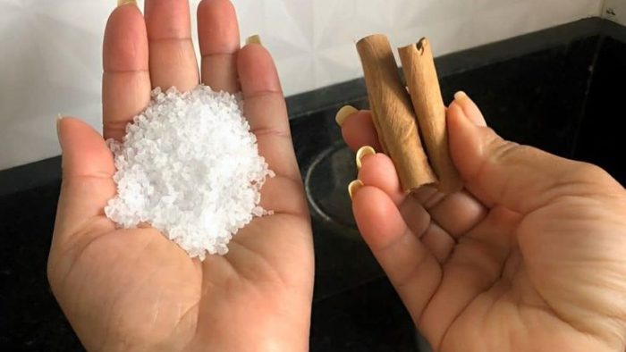 Cualquier habitación con mal olor olerá fresco con este truco casero