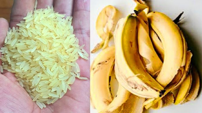 Mezcla cáscaras de plátano con arroz: el secreto que nadie te contará jamás